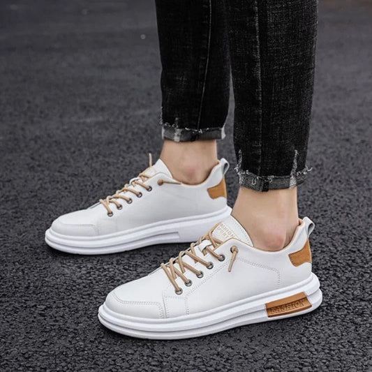 gid://shopify/MediaImage/24532719632478